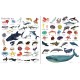 Usborne - 1000 Animals